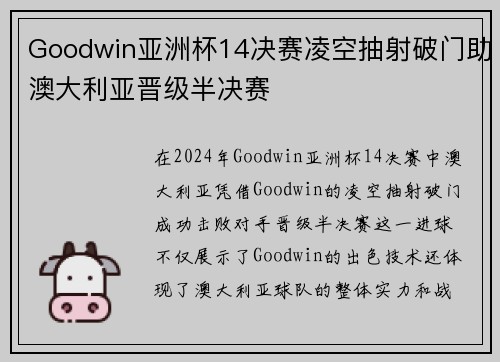 Goodwin亚洲杯14决赛凌空抽射破门助澳大利亚晋级半决赛